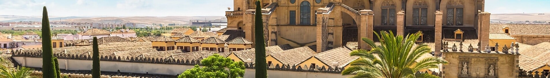 Cordoba: leje af privatfly 