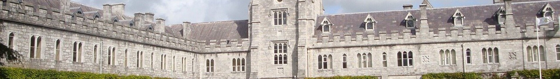 Cork: leje af privatfly 