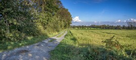 Hannover: leje af privatfly 