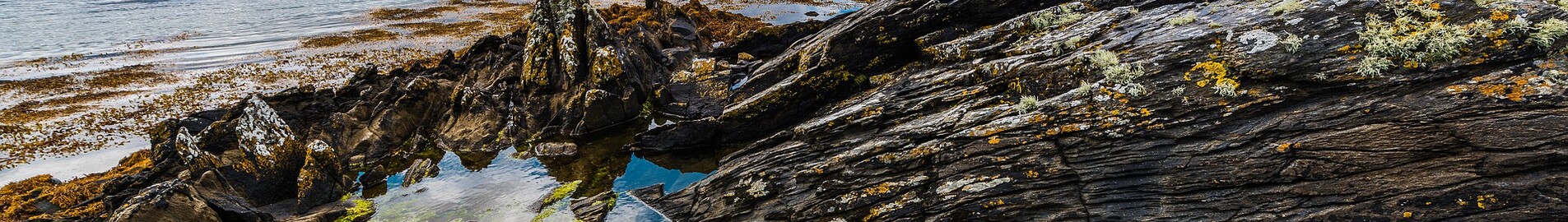Donegal: leje af privatfly 