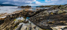 Belfast: leje af privatfly 