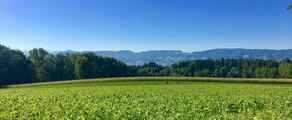 Dubendorf: leje af privatfly 