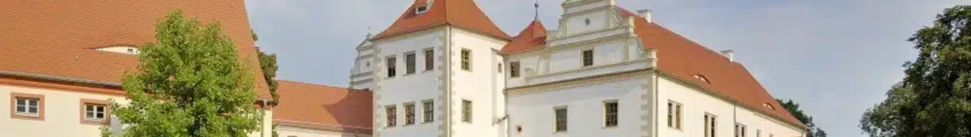 Finsterwalde: leje af privatfly 