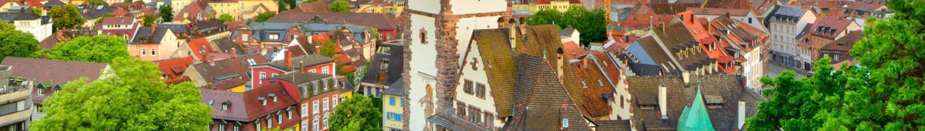 Freiburg-en-Brisgau: leje af privatfly 