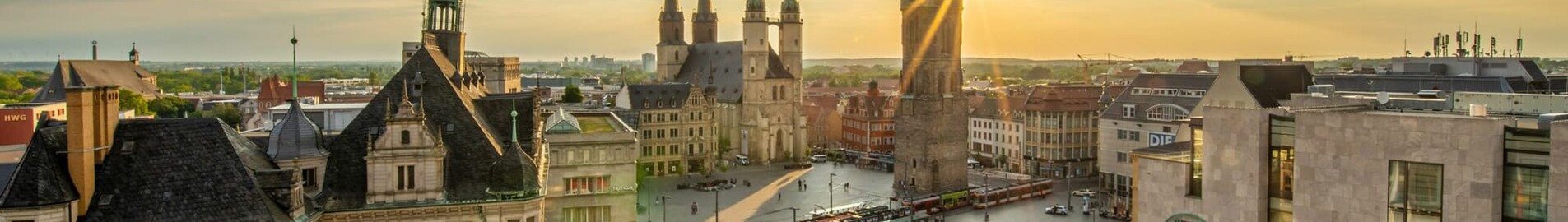 Halle Oppin: leje af privatfly