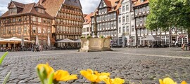 Freiburg-en-Brisgau: leje af privatfly 