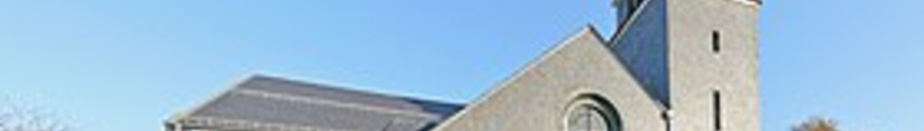 Hohn: leje af privatfly 