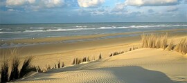 Oostende-Brugge: leje af privatfly 