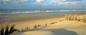 Koksijde: leje af privatfly 