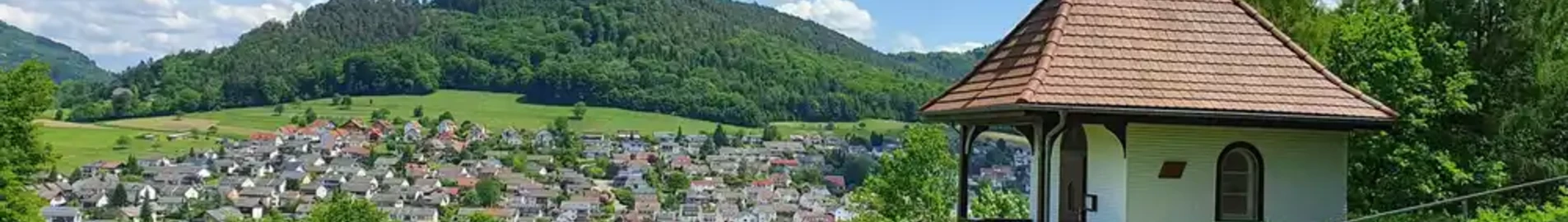 Lahr Schwarzwald: leje af privatfly 