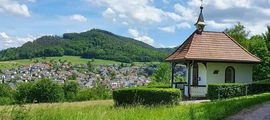 Kothen: leje af privatfly 