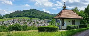 Lahr Schwarzwald: leje af privatfly 