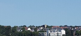 Hopstein: leje af privatfly 