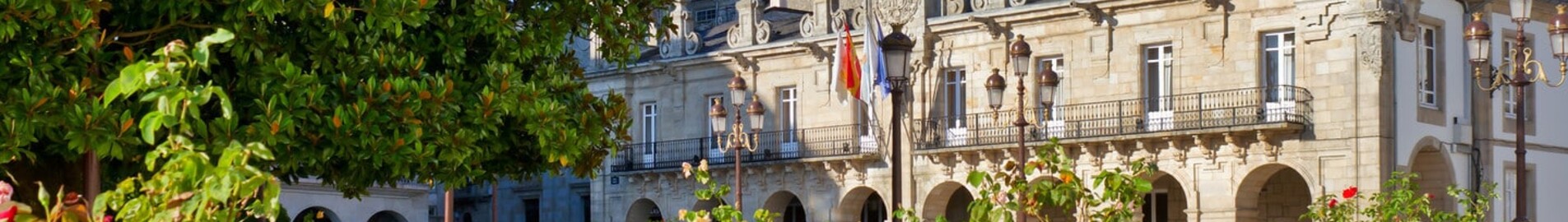 Lugo Rozas: leje af privatfly 