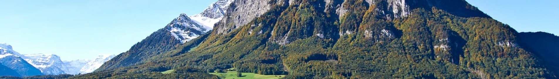 Mollis: leje af privatfly 