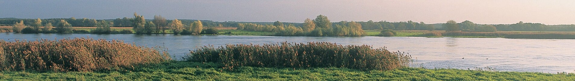 Neuhardenberg Wriezen : location de jet privé 