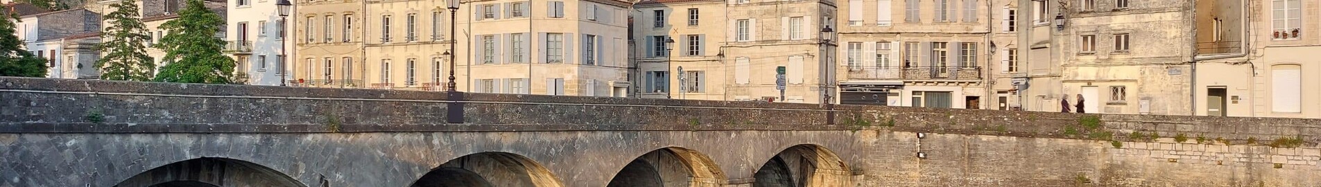 Niort Souche: leje af privatfly 