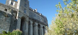 Briare Chatillon: leje af privatfly