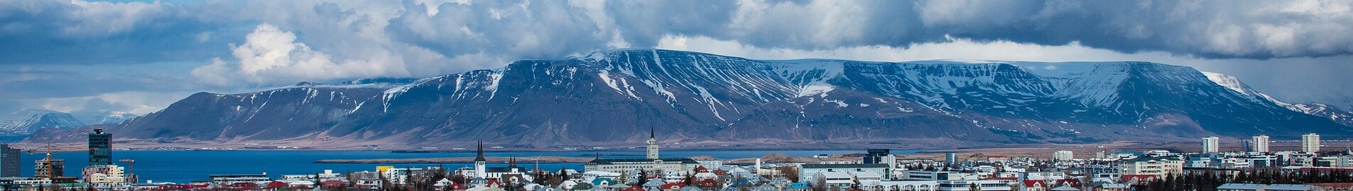 Reykjavik: leje af privatfly 
