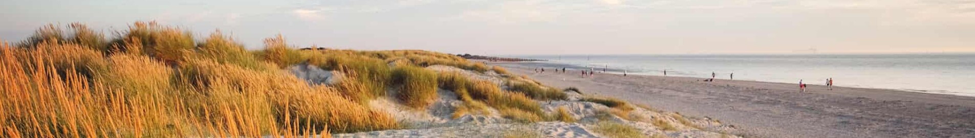 Wittering: privat jetudlejning 