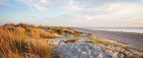 Wittering: privat jetudlejning 