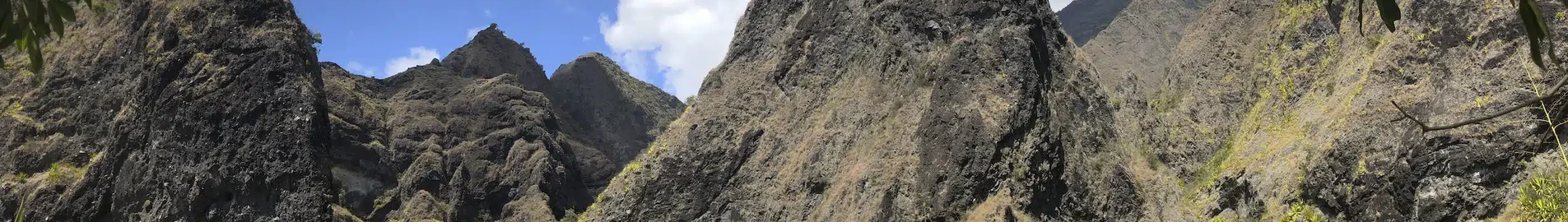 La Réunion: Leje af privatfly 