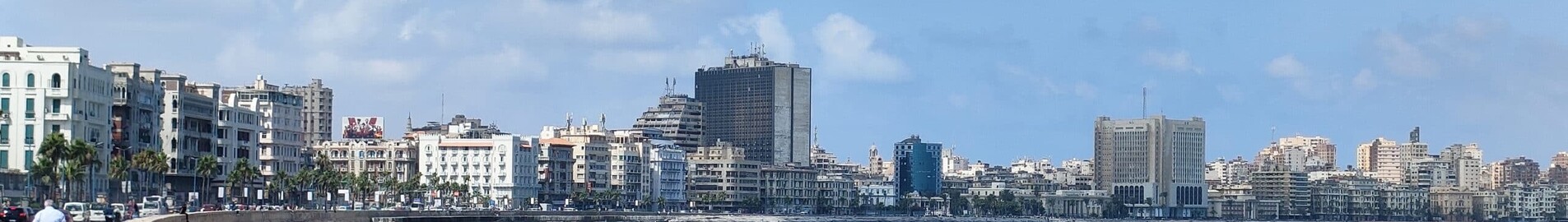 Alexandria Army: leje af privatfly 