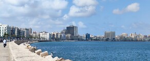 Alexandria Army: leje af privatfly 