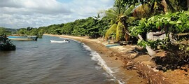 Fianarantsoa: leje af privatfly