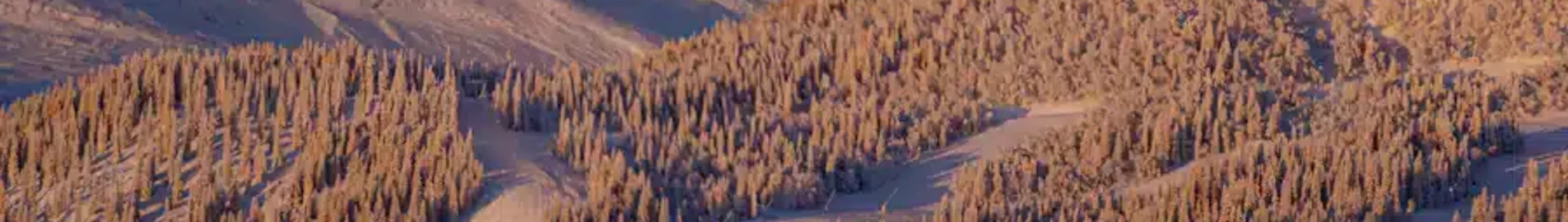 Are Ostersund: leje af privatfly