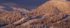 Are Ostersund: leje af privatfly