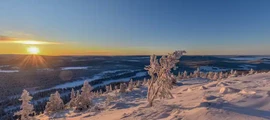 Bromma: leje af privatfly