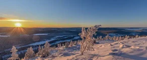 Arvidsjaur: leje af privatfly