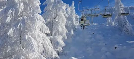 Slovenj Gradec: leje af privatfly
