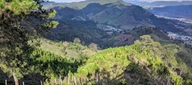 Antigua VC Bird: leje af privat jetfly 