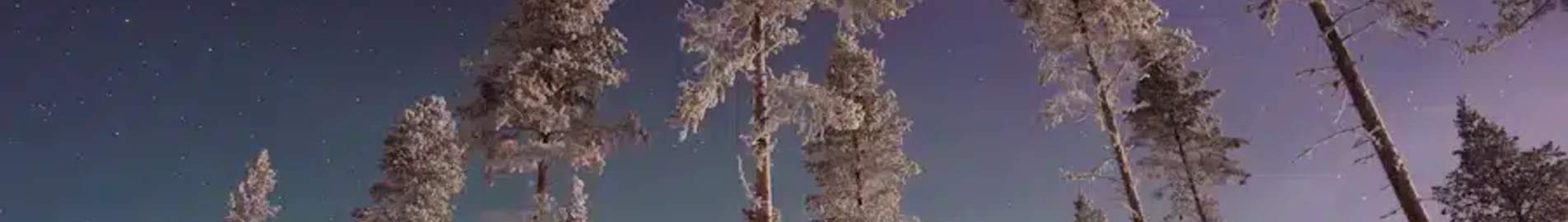 Gallivare Lapland: leje af privatfly