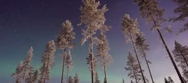 Hudiksvall: leje af privatfly
