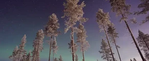 Gallivare Lapland: leje af privatfly