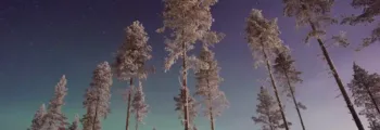 Negage : location de jet privé