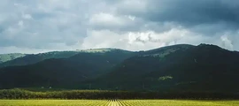 Tver Migalovo: leje af privatfly