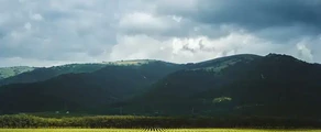 Gelendzhik: leje af privatfly