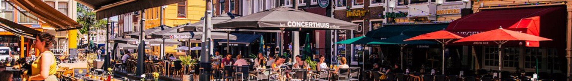 Groningen Eelde: privatflyveplads 