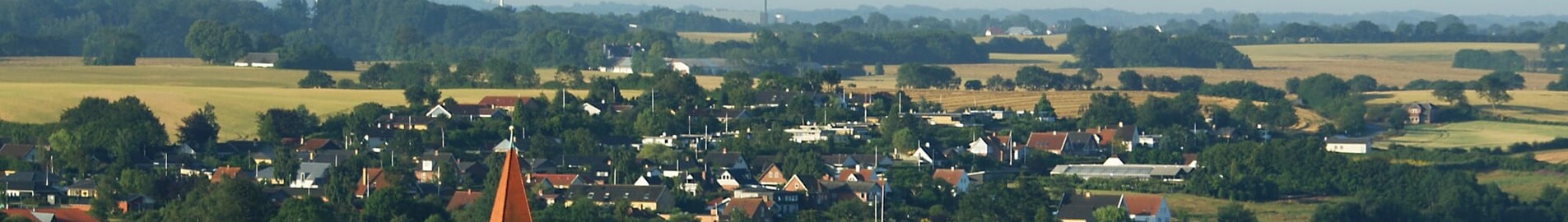 Haderslev: leje af privatfly 