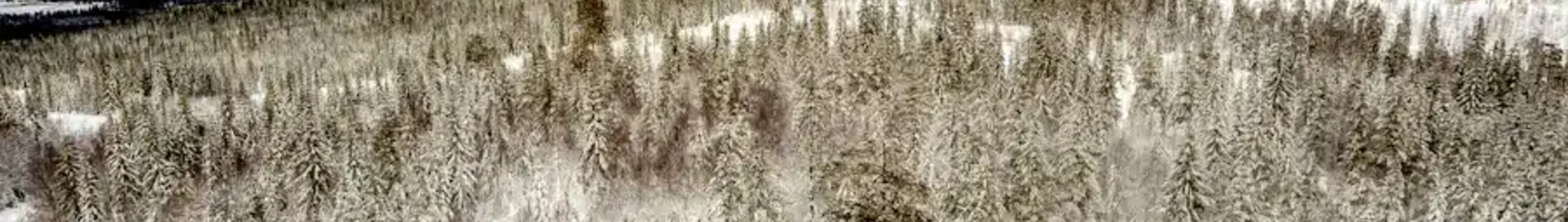Hagfors: leje af privatfly