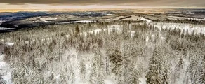 Hagfors: leje af privatfly