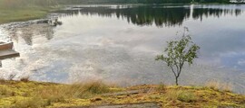 Alajarvi Menkijarvi: leje af privatfly 