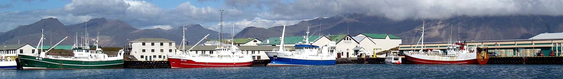 Hofn Hornafjordur: leje af privatfly 