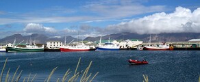 Hofn Hornafjordur: leje af privatfly 