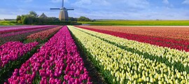 Den Helder: privat jetudlejning
