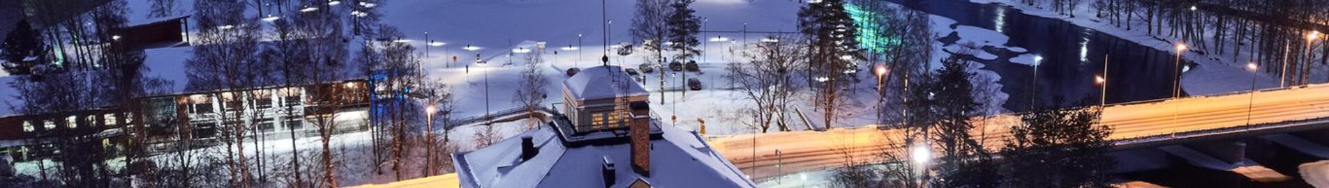 Joensuu: leje af privatfly 